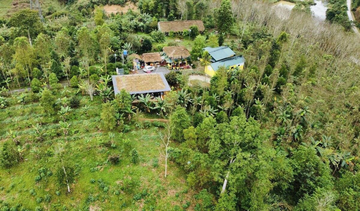 6ha diện tích vườn rừng bản Thổ đã được phủ xanh.