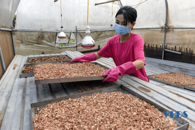 Các sản phẩm hữu cơ khác tại vườn rừng