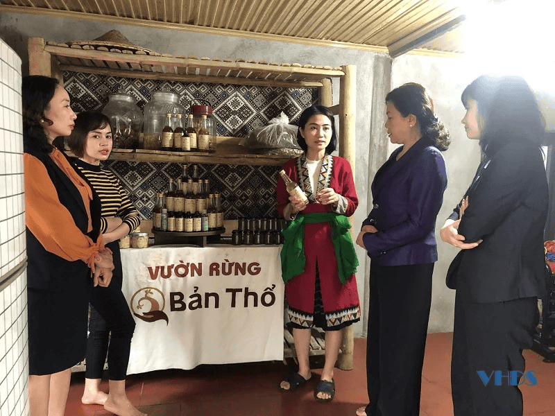 Mô hình mật ong tại vườn rừng