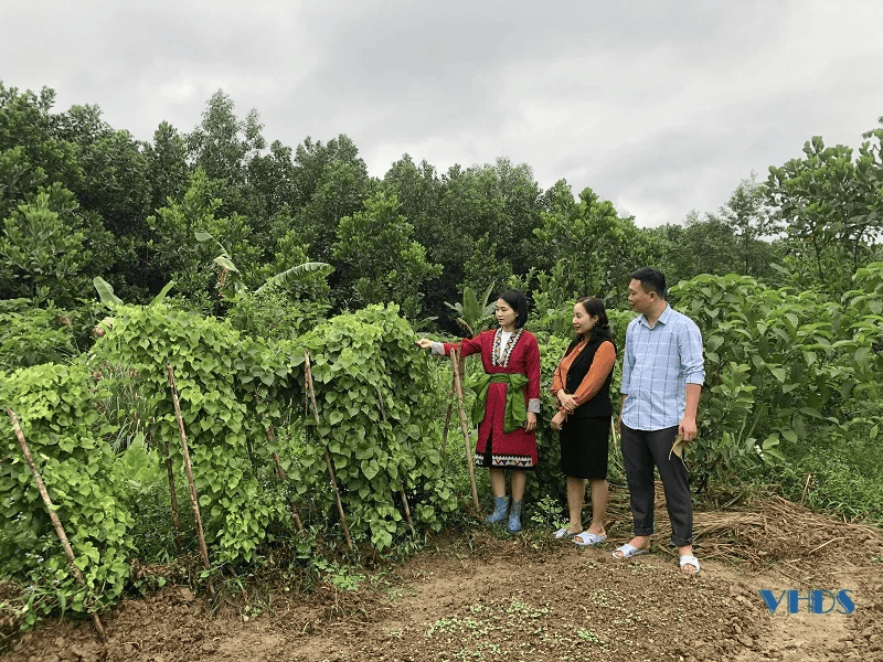 Cô gái trẻ với mô hình “Vườn rừng bản Thổ”