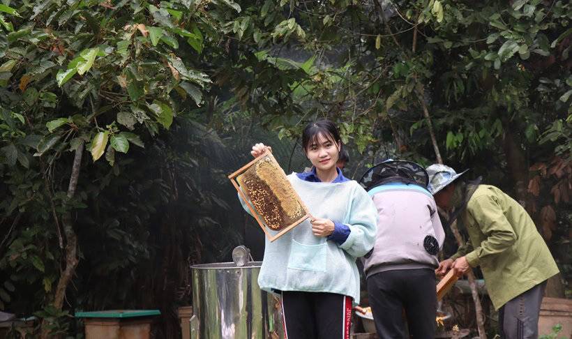 Linh Bản Thổ cùng thu hoạch mật ong