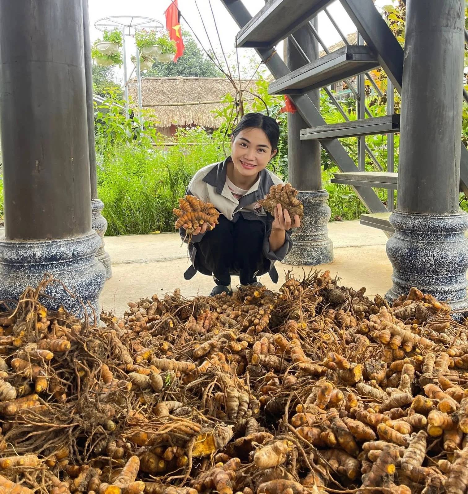 3 ha đồi trọc của gia đình để xây dựng mô hình vườn rừng