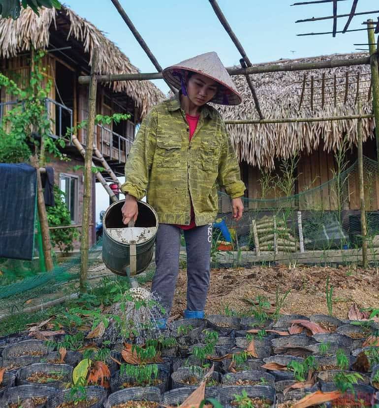 Ngọc Linh về làm chọn nông dân