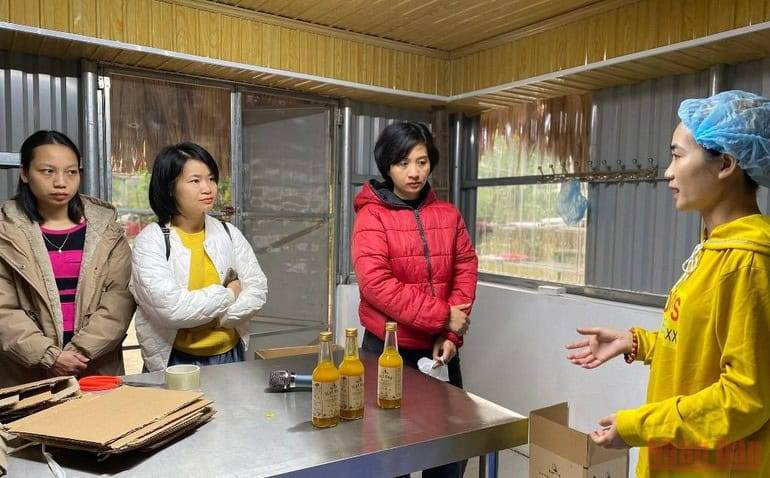 giới thiệu quy trình sản xuất mật ong lên men