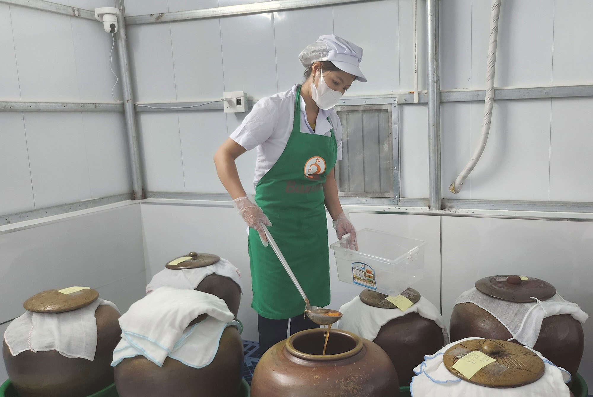 Mật ong nuôi trong môi trường tự nhiên ở “Vườn rừng bản Thổ” được ủ lên men