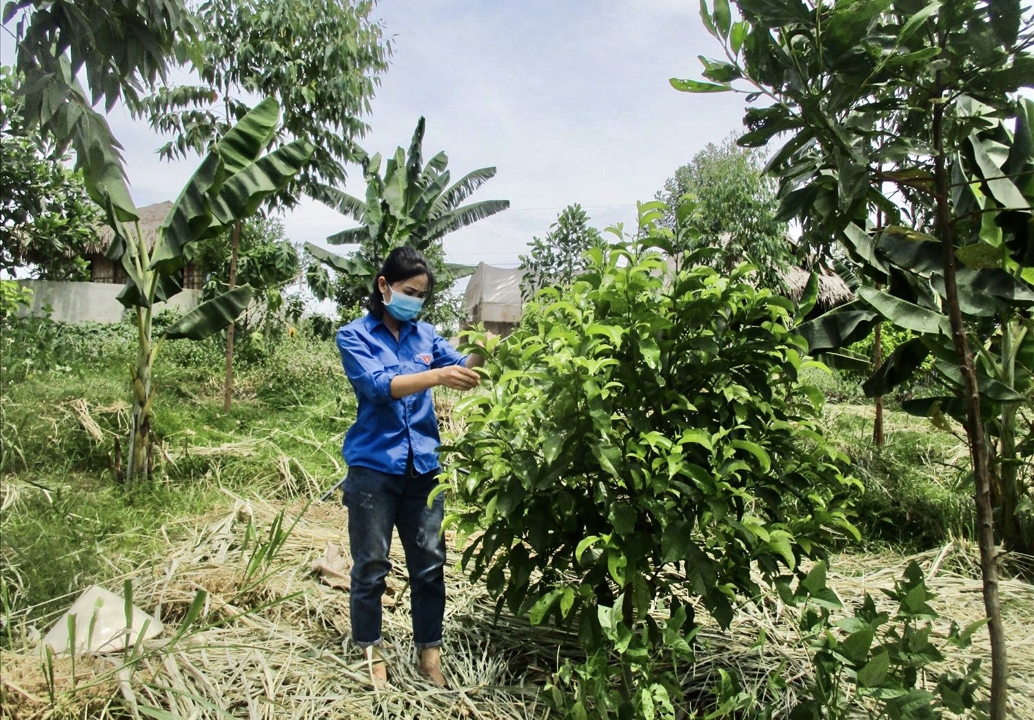 Mô hình "Vườn rừng bản Thổ" của Nguyễn Lê Ngọc Linh