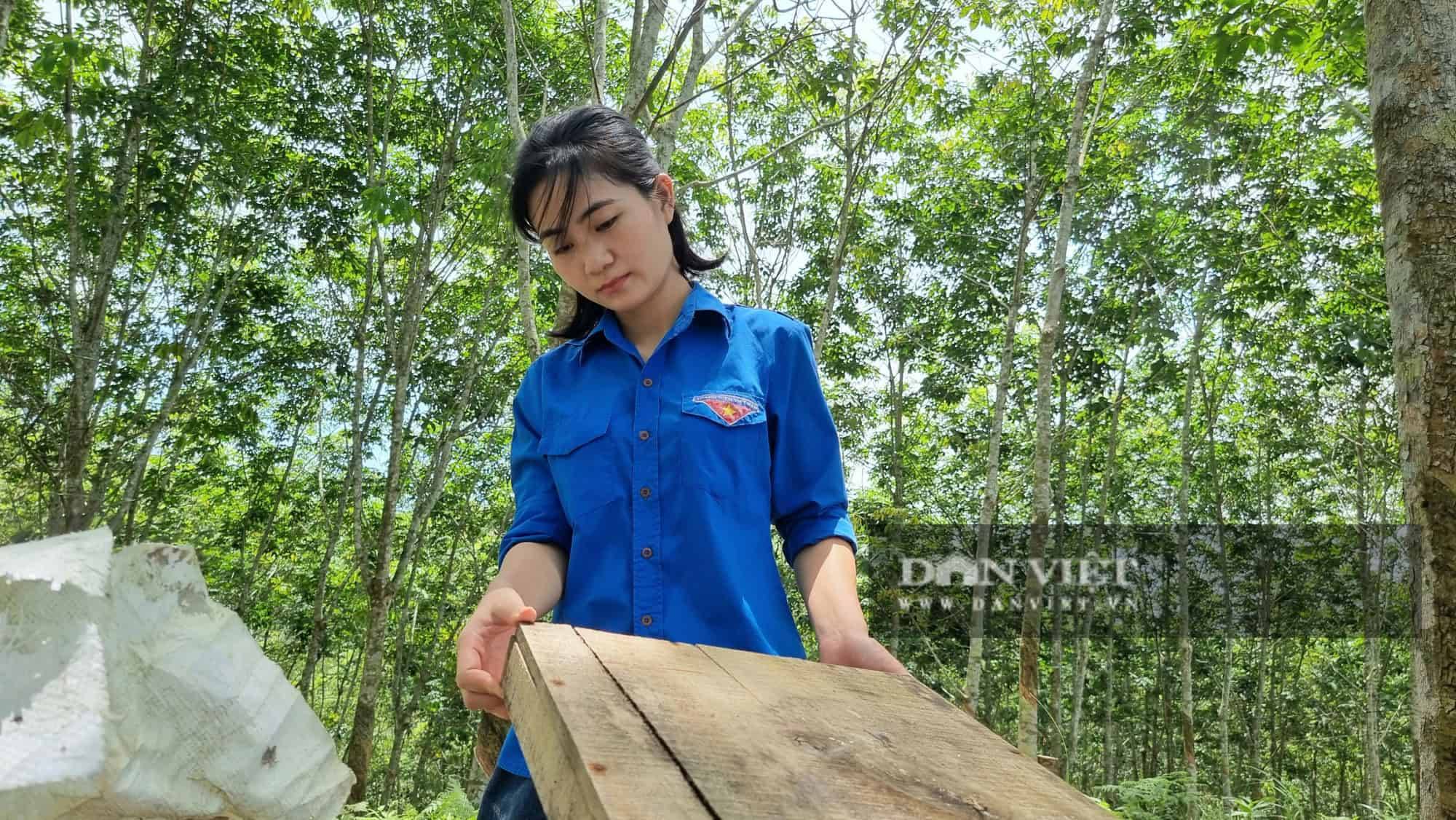 Ngoài trồng các loại cây rừng, Nguyễn Lê Ngọc Linh còn nuôi thêm ong lấy mật.