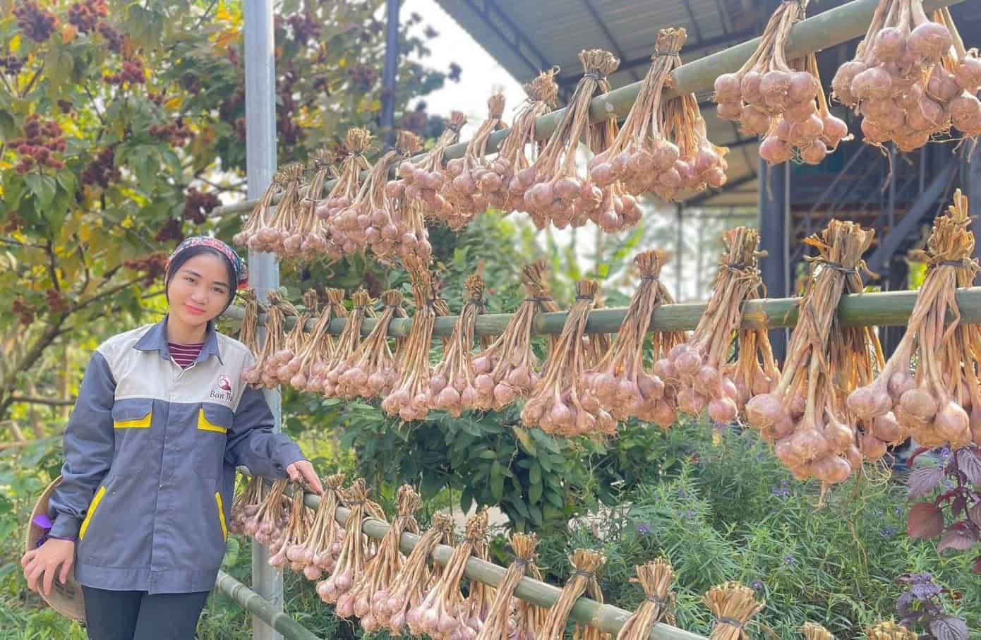 Các sản phẩm từ mô hình phát triển kinh tế, giúp phụ nữ đồng bào dân tộc có sinh kế, thu nhập ngay trên chính quê hương ảnh 3