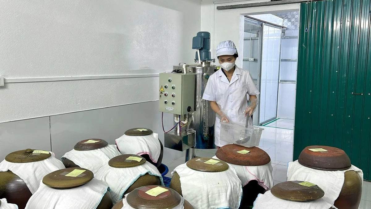 Mật ong được lên men với các loại thảo dược.