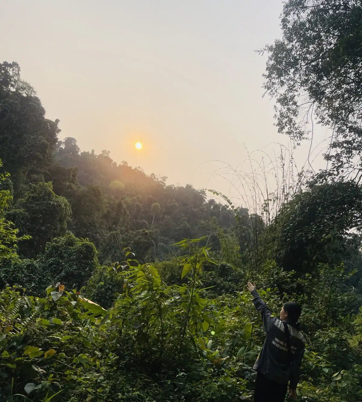 linh bản thổ và hành trình tái sinh rừng giữa đại ngàn xứ thanh hình ảnh 2