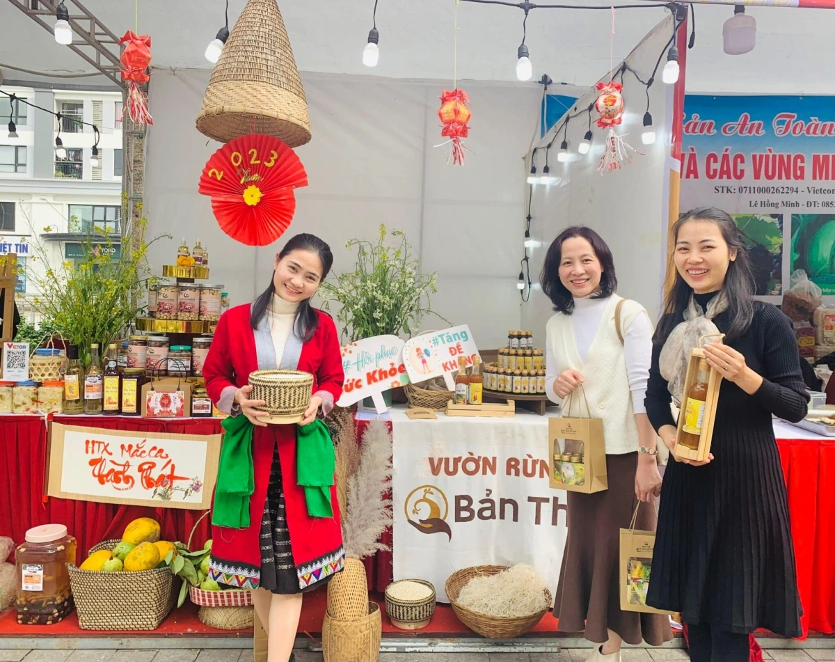 linh bản thổ và hành trình tái sinh rừng giữa đại ngàn xứ thanh hình ảnh 4