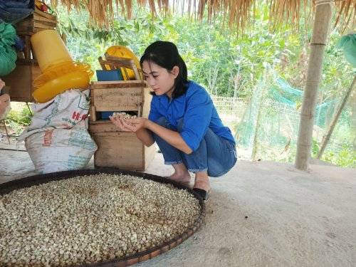 Nông sản tại vườn rừng bản thổ