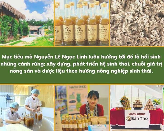 Hồi sinh những cánh rừng hướng tới phát triển bền vững