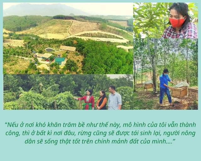 Niềm tin hồi sinh những cánh rừng