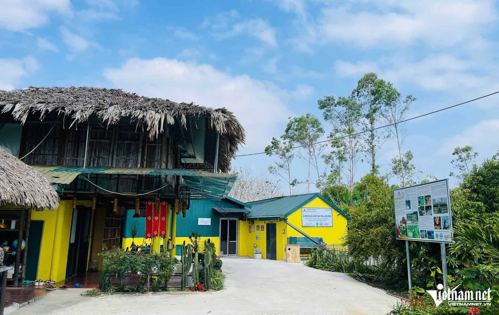 Mỗi năm, "vườn rừng bản Thổ" của Linh đón hàng trăm lượt khách đến thăm quan