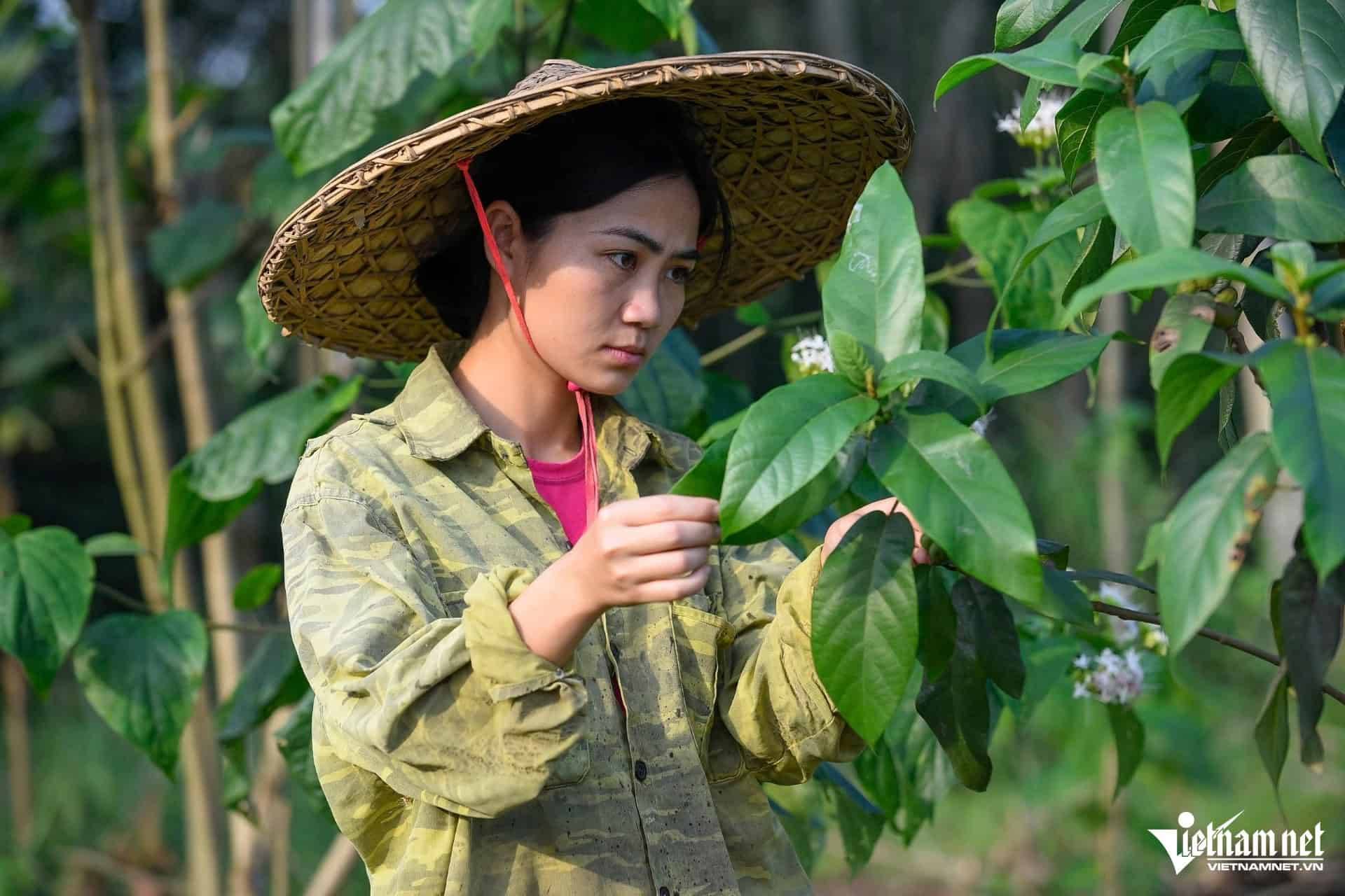 Hàng ngày, Linh ra vườn chăm sóc cho các loại cây.