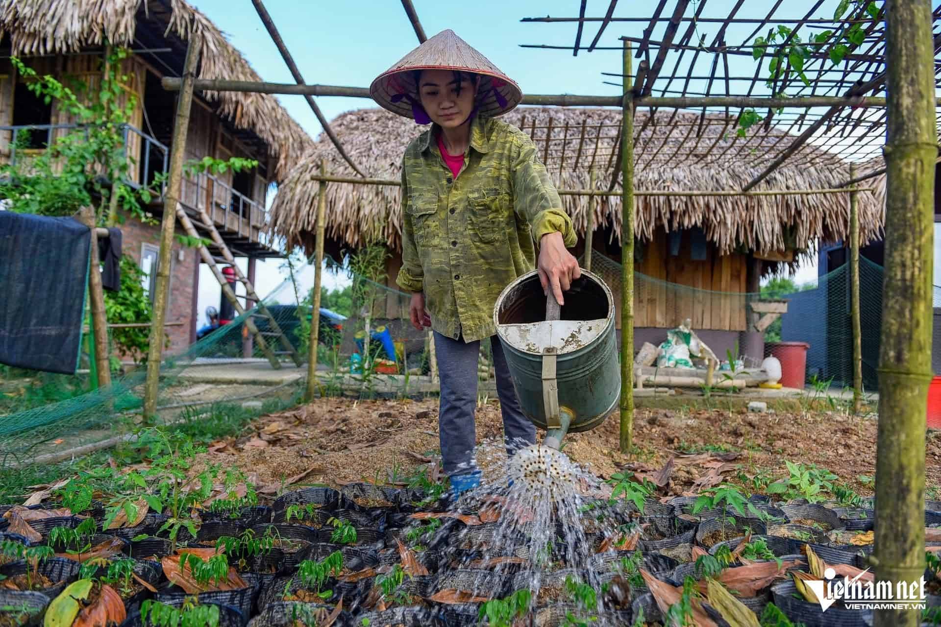 HTX Bản Thổ giải quyết công ăn việc làm cho khoảng 20 lao động địa phương