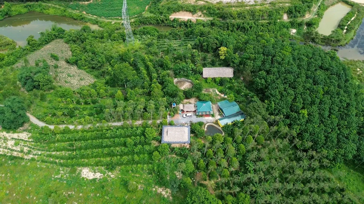 Mô hình vườn rừng bản thổ tạo sinh kế bền vững