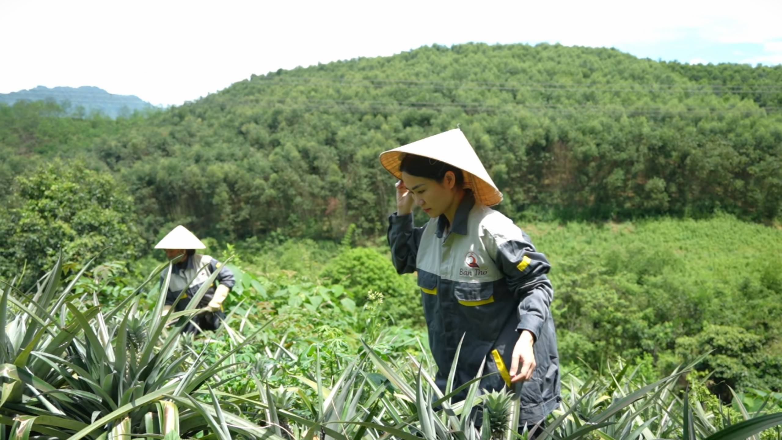Rời phố thị, Ngọc Linh về bản Thổ làm một nông dân thực thụ Rời phố thị, Ngọc Linh về bản Thổ làm một nông dân thực thụ